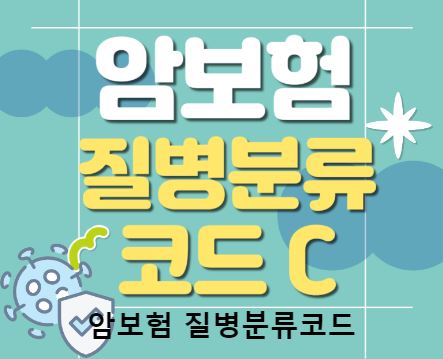 최적의 선택, 보험비교사이트 위즈인슈 활용법