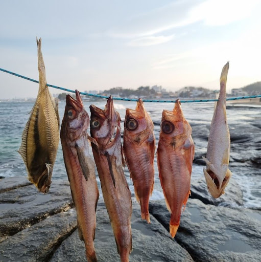 속초사이버장터의 특별한 맛, 열기 민어 반건조생선